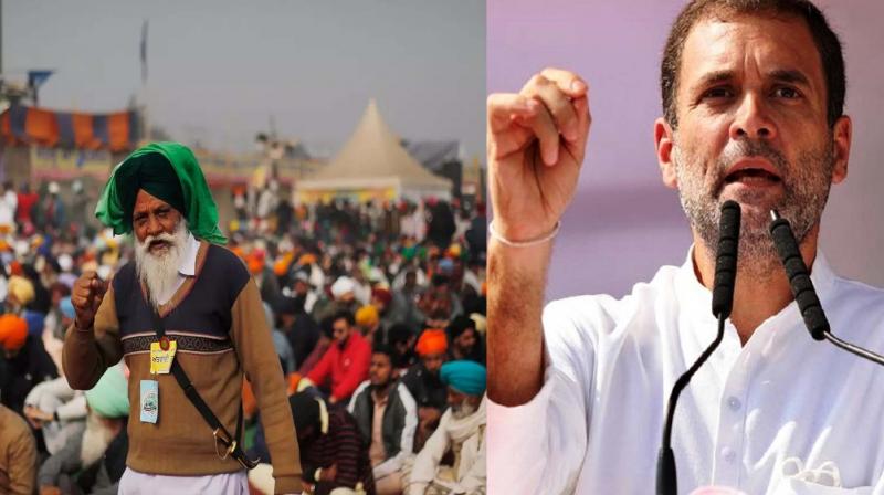 Farmer Protest - Rahul Gandhi Farmer Protest - Rahul Gandhi