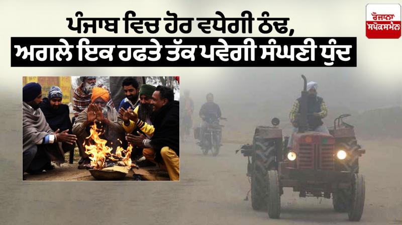 The cold will increase in Punjab weather News in punjabi