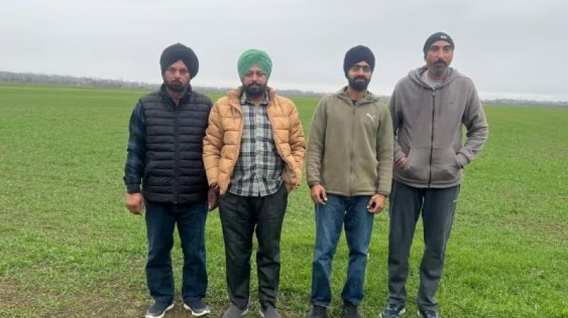 Punjab farmers take over fields in Georgia, reap a rich harvest Punjab farmers take over fields in Georgia, reap a rich harvest