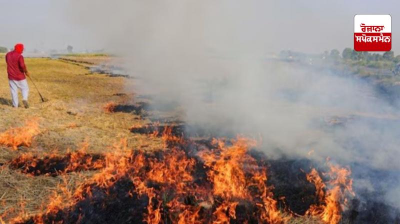 587 incidents of stubble burning took place in Punjab on the same day 587 incidents of stubble burning took place in Punjab on the same day