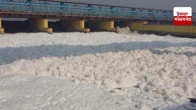 Yamuna Poisonous Foam News Yamuna Poisonous Foam News