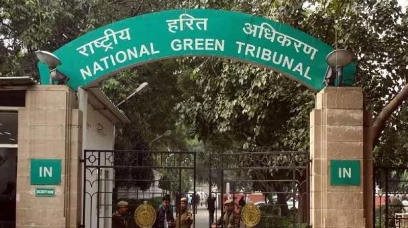 NGT allows Malbros unit to withdraw plea against CPCB