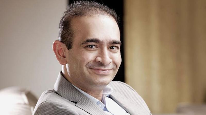 nirav modi nirav modi