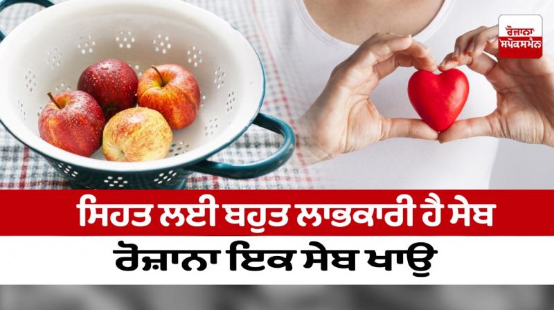 Apple is very beneficial for health, eat an apple daily Apple is very beneficial for health, eat an apple daily