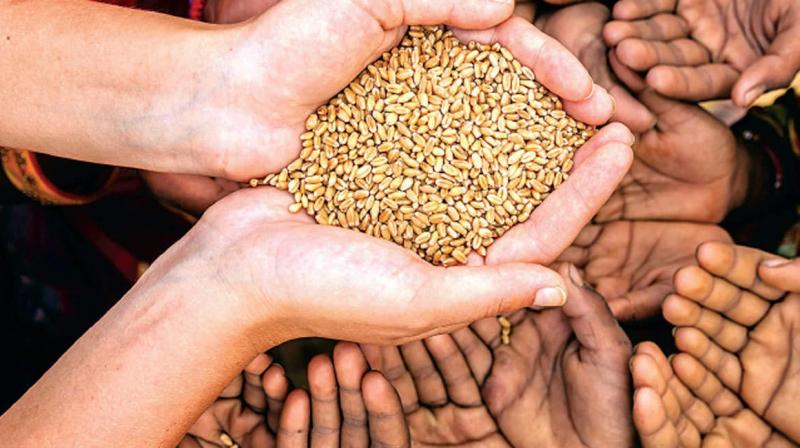 Wheat Wheat