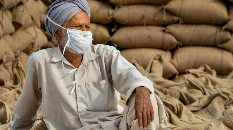 Procurement of wheat Procurement of wheat