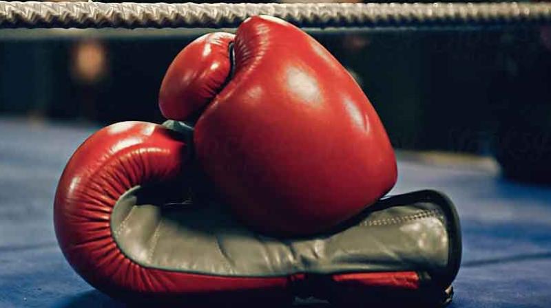 India has made 5 medals in Iran Boxing Tournament India has made 5 medals in Iran Boxing Tournament
