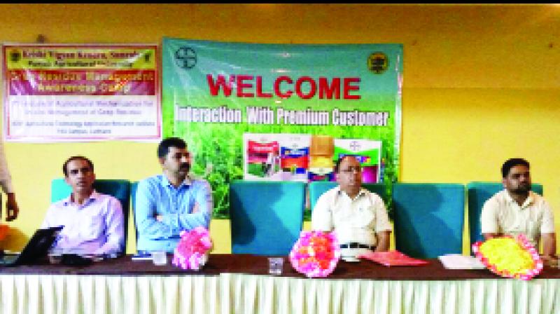 Agricultural Experts Giving Information