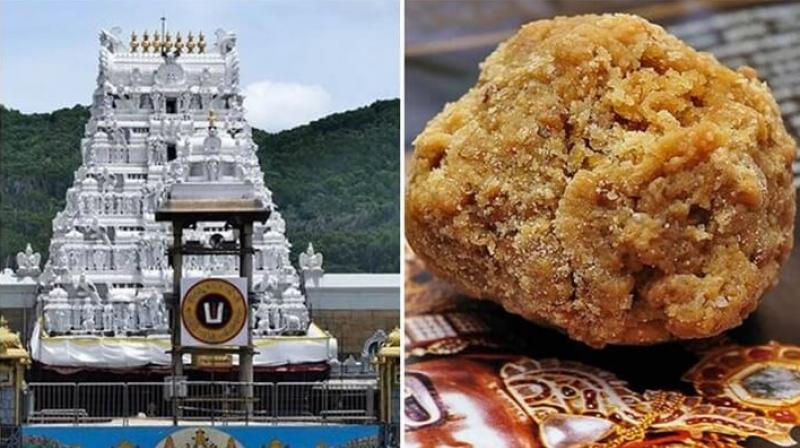 ਤਿਰੂਪਤੀ 'ਚ ਭਗਵਾਨ ਵੈਂਕਟੇਸ਼ਵਰ ਬਾਲਾਜੀ ਦੇ ਮੰਦਰ ਤਿਰੂਪਤੀ 'ਚ ਭਗਵਾਨ ਵੈਂਕਟੇਸ਼ਵਰ ਬਾਲਾਜੀ ਦੇ ਮੰਦਰ