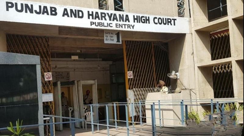 punjab and haryan high Court punjab and haryan high Court