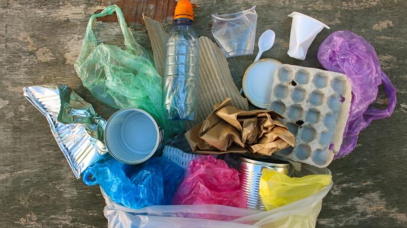 Single-Use Plastic Banned From July 