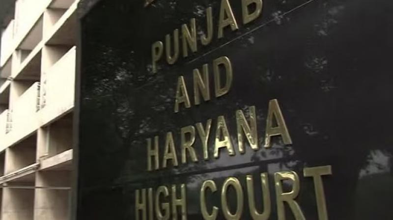 punjab and Haryana High Court punjab and Haryana High Court