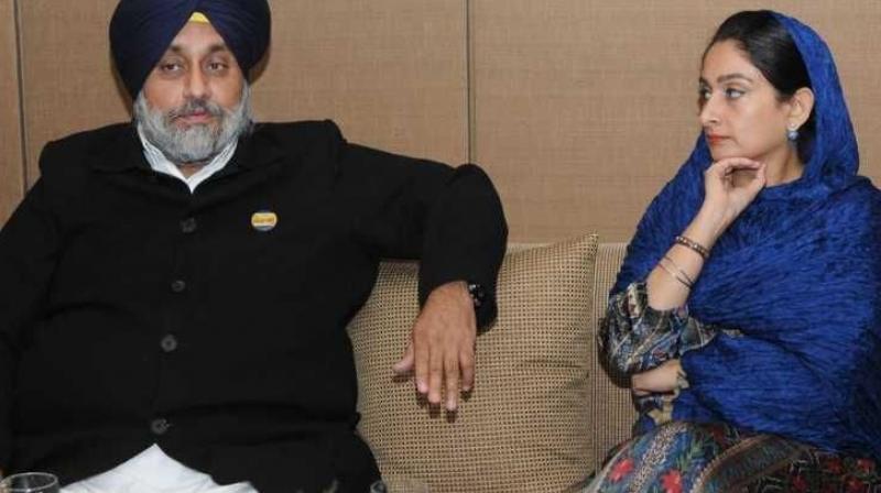 Sukhbir Badal And Harsimrat Kaur Badal 