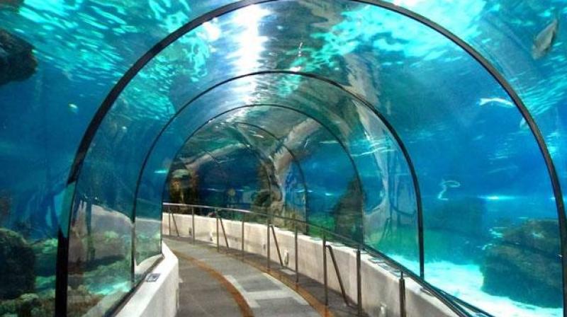 India's first underwater tunnel India's first underwater tunnel