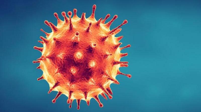 coronavirus coronavirus