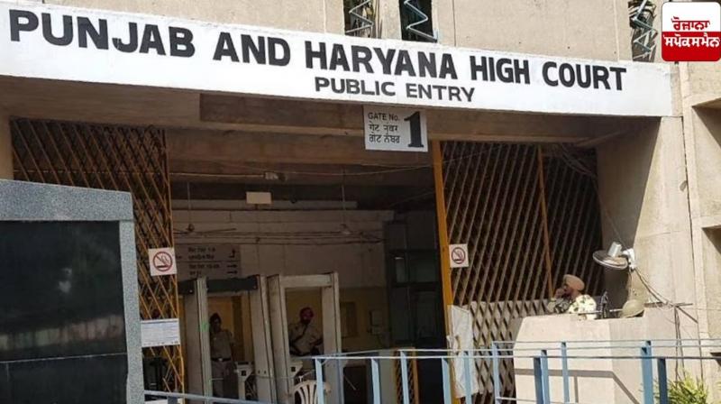 Big Decision of Punjab and Haryana High Court Latest News in Punjab  