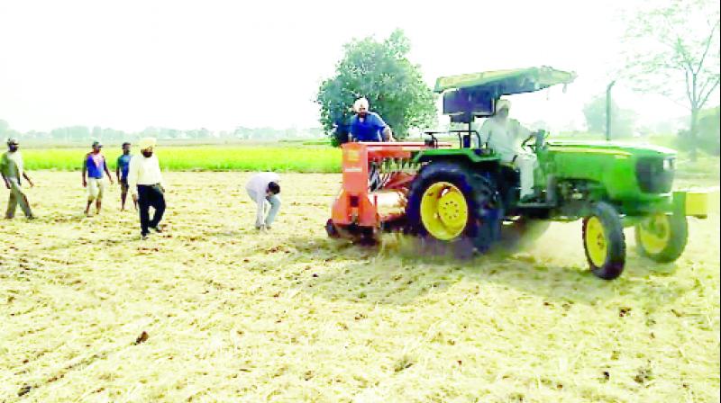 Jaspal Singh has not burned paddy Straw for the last three years Jaspal Singh has not burned paddy Straw for the last three years