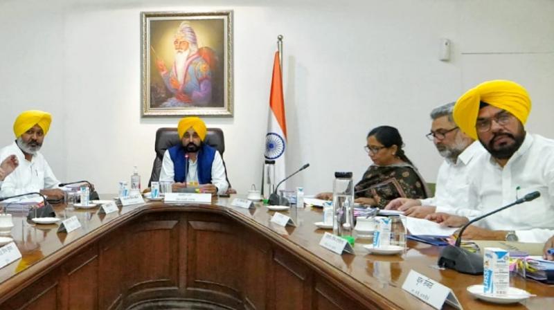 The Punjab cabinet will be expanded next month The Punjab cabinet will be expanded next month