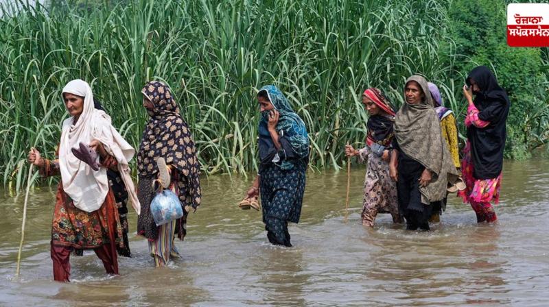 Pakistan Flood News in punjabi Pakistan Flood News in punjabi