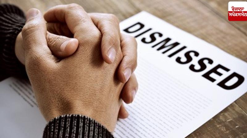 8 teachers' dismissal orders Punjab News 8 teachers' dismissal orders Punjab News