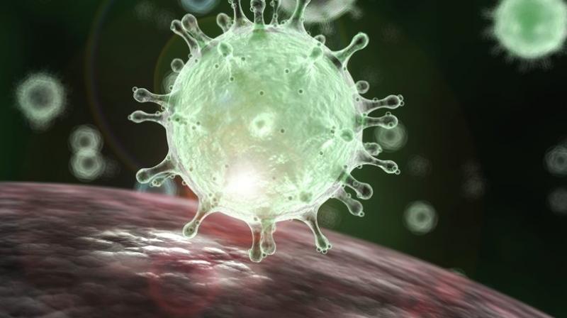Corona Virus China India Corona Virus China India