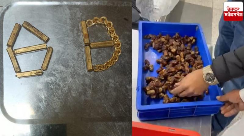 The customs department seized gold worth 13 lakhs at Delhi's IGI airport News in punjabi The customs department seized gold worth 13 lakhs at Delhi's IGI airport News in punjabi