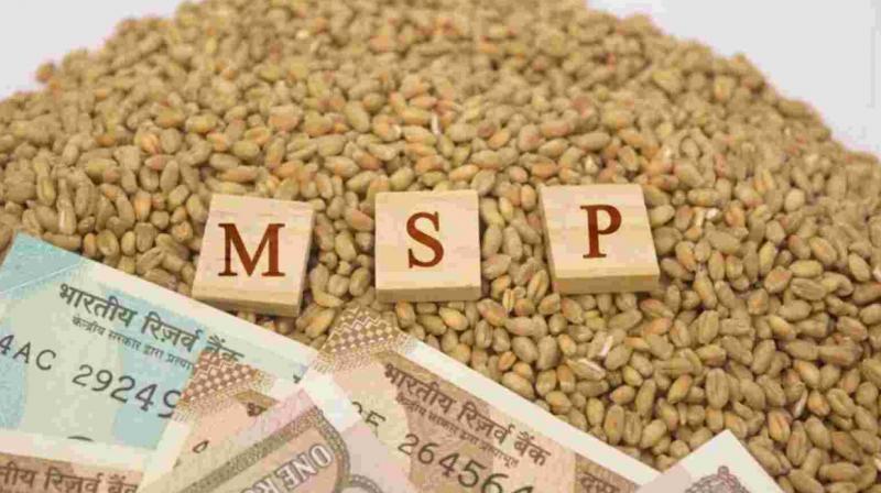 MSP MSP
