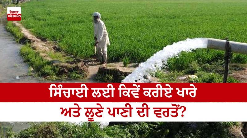 How to use saline and salt water for irrigation? How to use saline and salt water for irrigation?