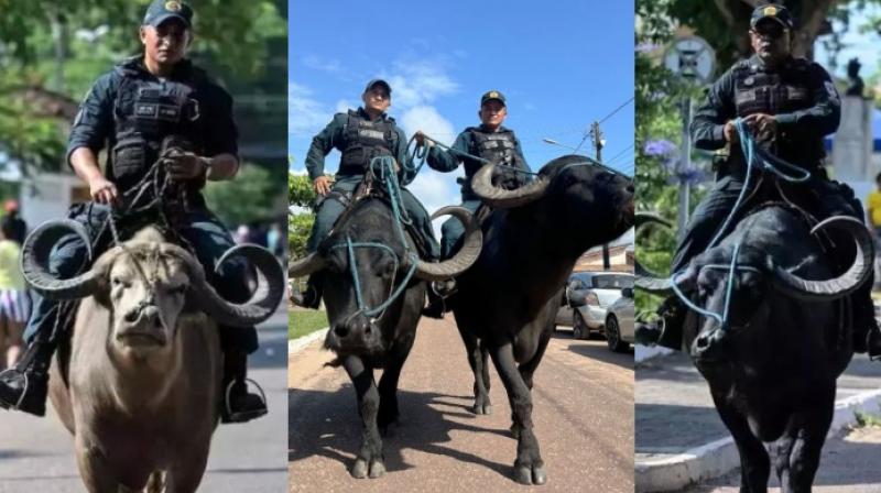 Police With Buffalo Police With Buffalo