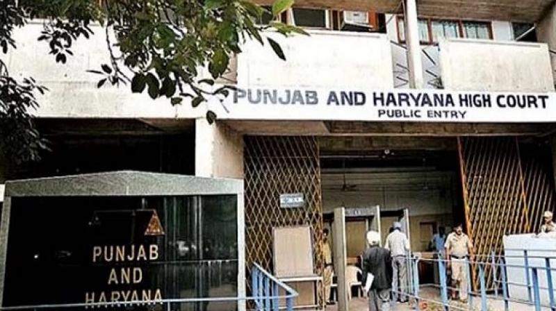Punjab & Haryana High Court Punjab & Haryana High Court