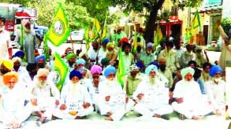 Farmers Protesting Farmers Protesting