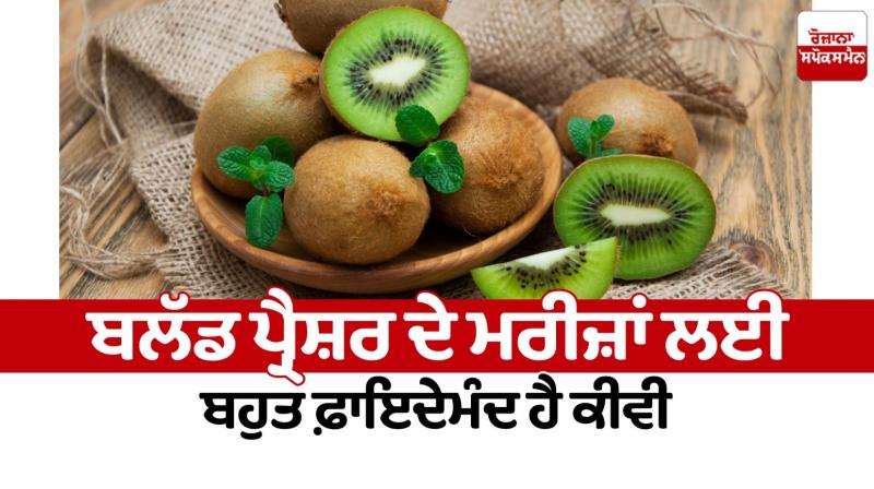 Kiwi is very beneficial for blood pressure patients Health News in punjabi 
