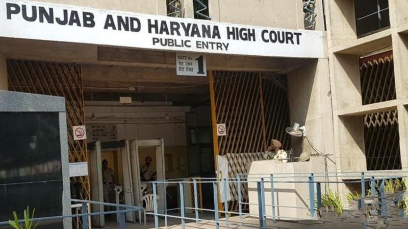 Punjab and Haryana High Court gave priority to 30 years old cases News in punjabi 
