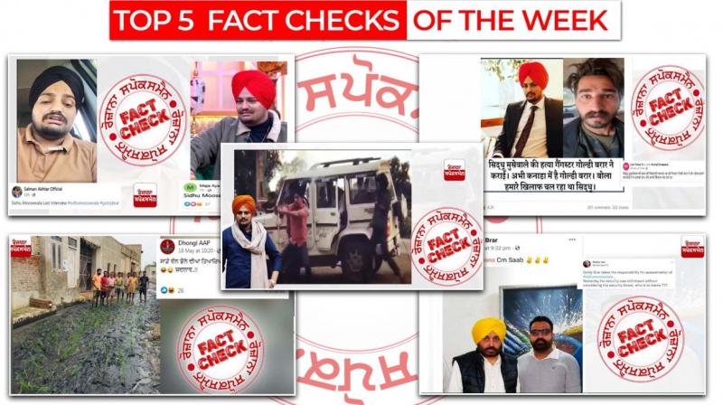 From attack on Sidhu Moosewala to images of Goldy Brar read our top 5 fact checks From attack on Sidhu Moosewala to images of Goldy Brar read our top 5 fact checks