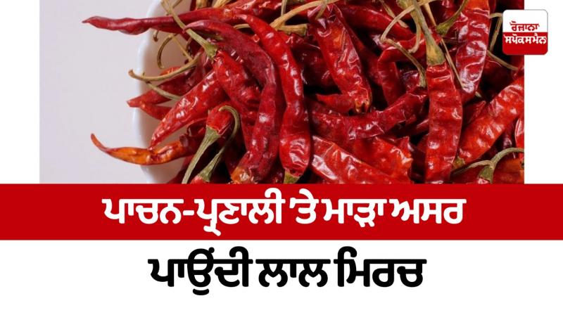 Red pepper has a bad effect on the digestive system Health News Red pepper has a bad effect on the digestive system Health News