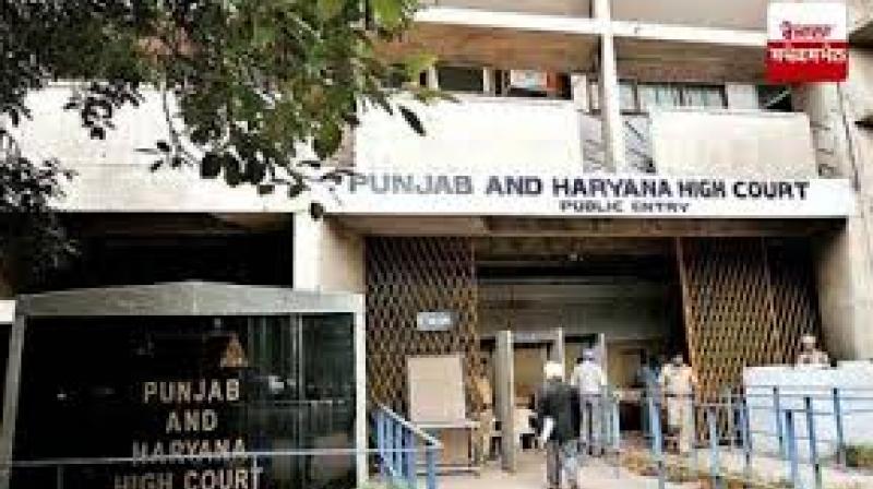 Punjab and Haryana High Court issues orders for transfer and posting of 132 civil judges Punjab and Haryana High Court issues orders for transfer and posting of 132 civil judges