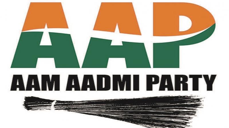 AAP AAP