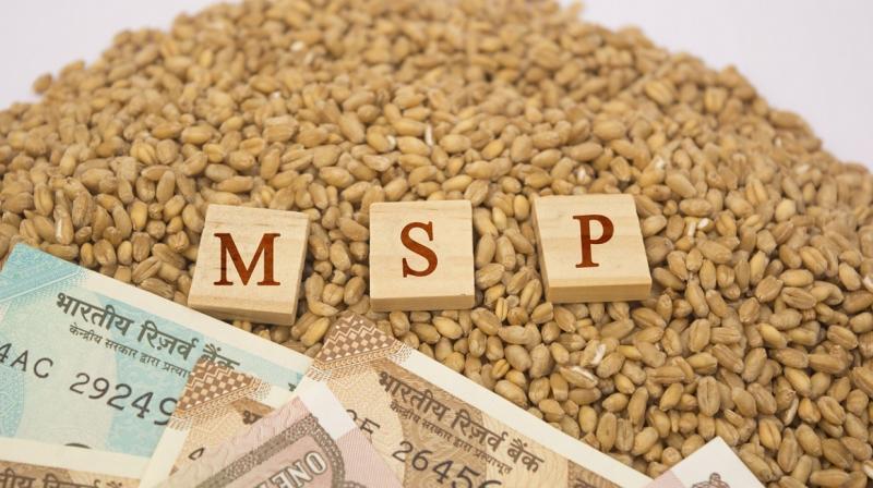 MSP hike for rabi crops gets Cabinet nod MSP hike for rabi crops gets Cabinet nod