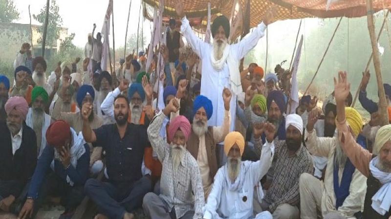 Farmer Protest Farmer Protest
