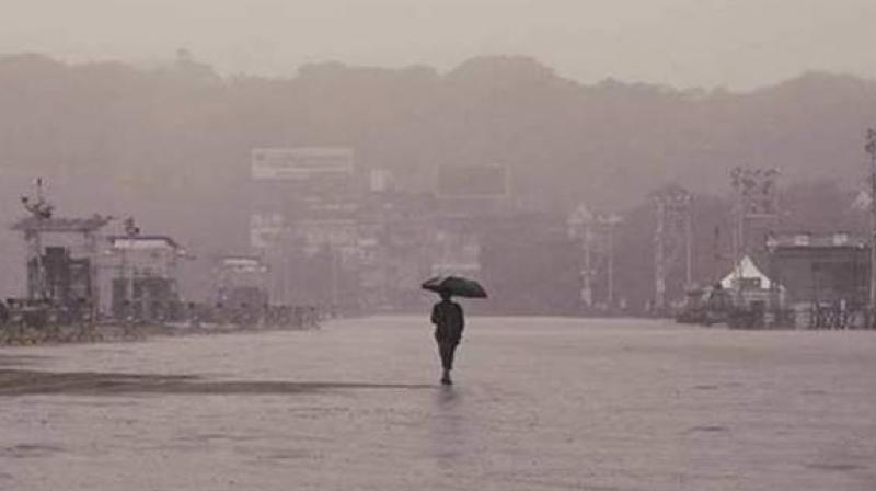 Rain Rain