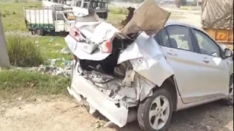 Horrible road accident caused by stray animals Horrible road accident caused by stray animals