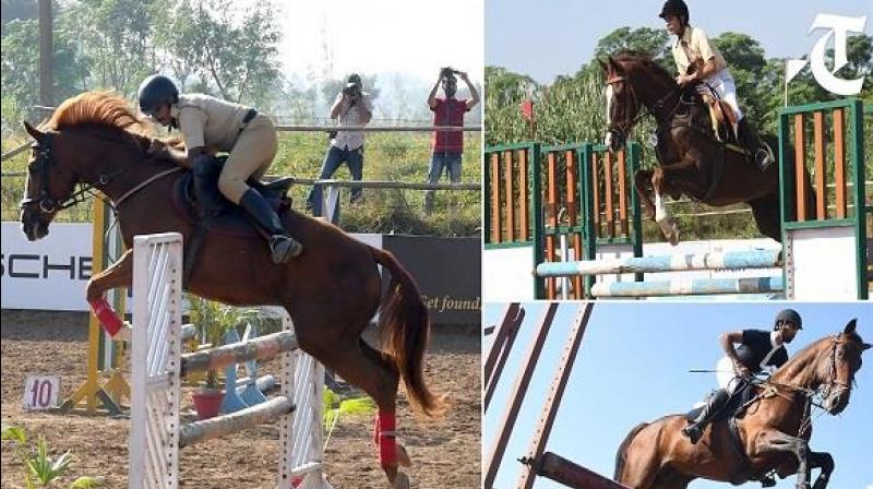 Big news for horse lovers Big news for horse lovers