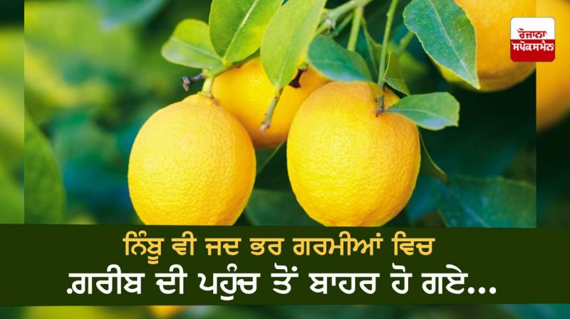 Even lemons became out of reach of the poor ! Even lemons became out of reach of the poor !