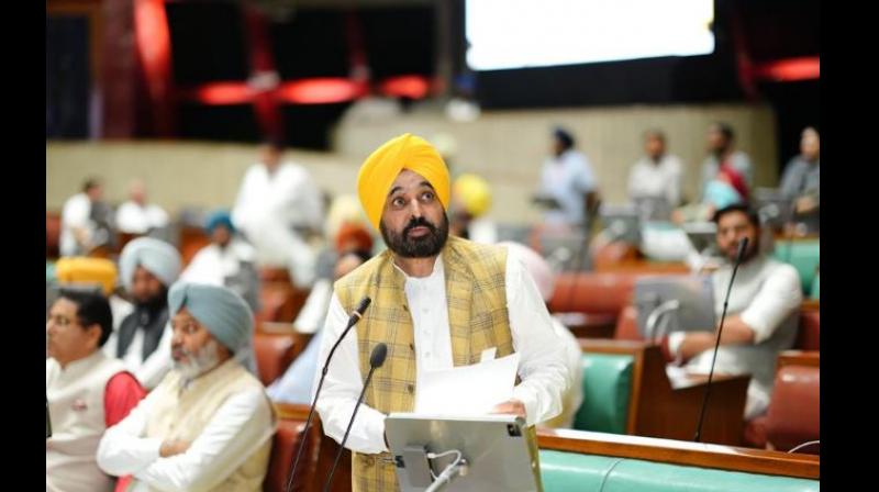 CM bhagwant Mann CM bhagwant Mann