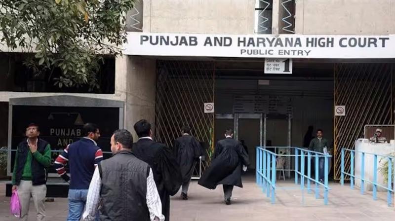 punjab and haryana High court punjab and haryana High court