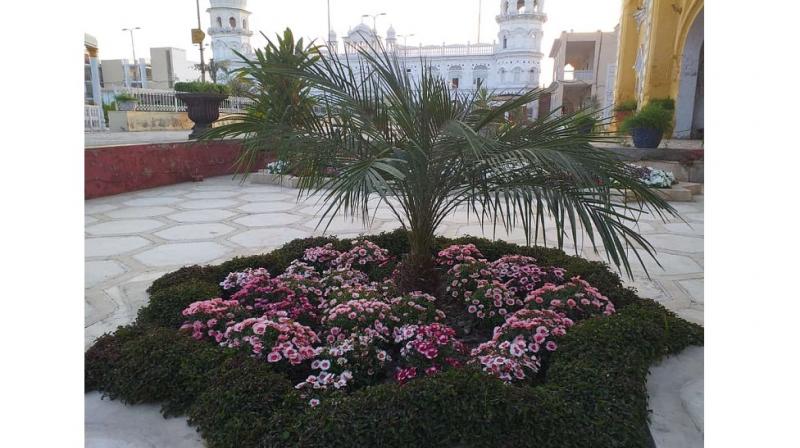 Shri Nankana Sahib Shri Nankana Sahib