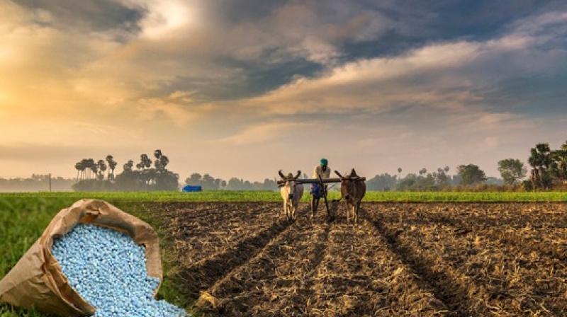 Due to the large scale use of chemical fertilizers, the soil fertility of Punjab decreased Due to the large scale use of chemical fertilizers, the soil fertility of Punjab decreased