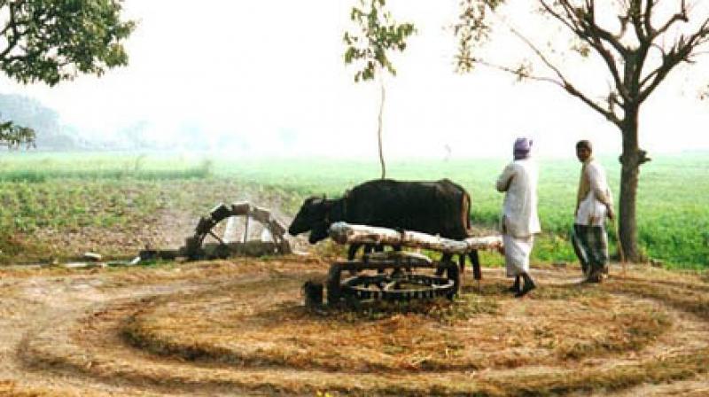 Disappeared Banyan well Punjab Culture IN Punjab Disappeared Banyan well Punjab Culture IN Punjab