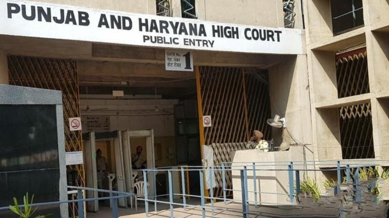 Punjab and Haryana High Court Punjab and Haryana High Court