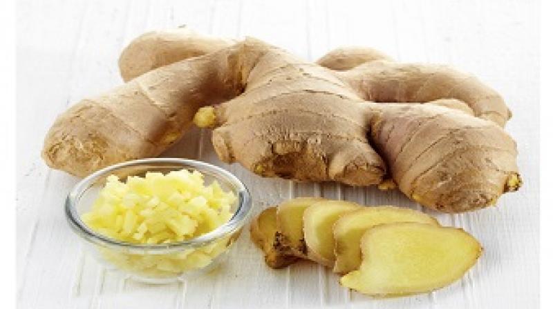 Ginger Ginger